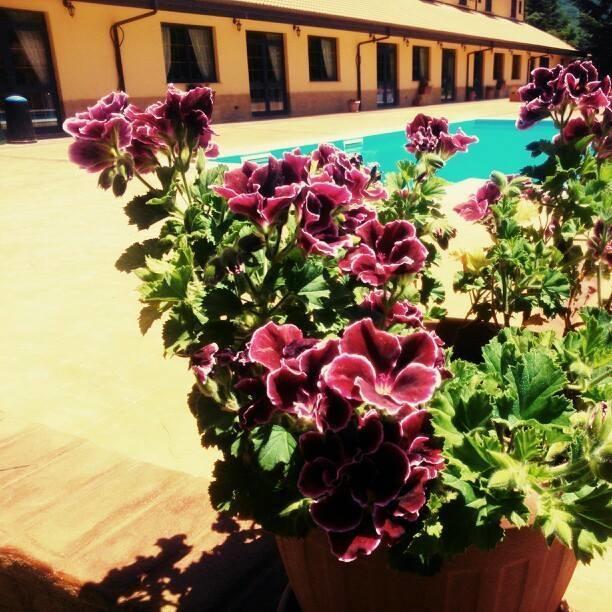 Del Riccio Hotel Martirano Екстер'єр фото